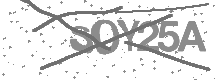 visual captcha